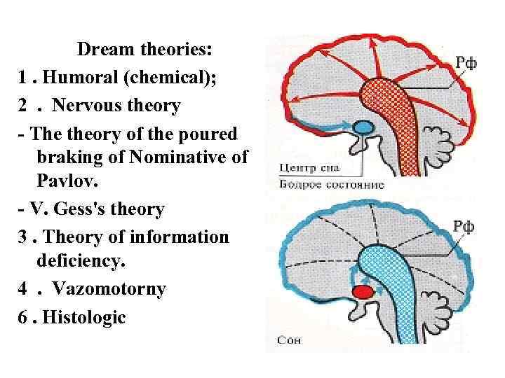 Dream theories: 1. Humoral (chemical); 2. Nervous theory - The theory of the poured