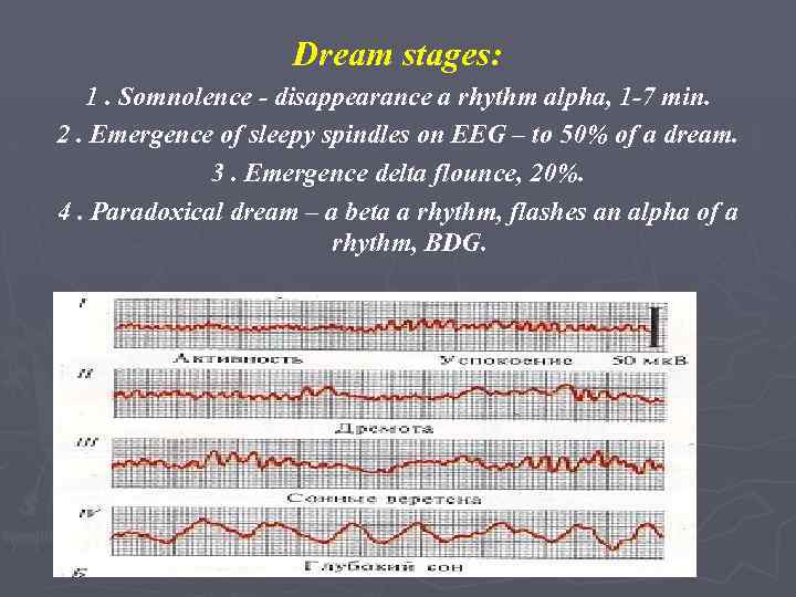 Dream stages: 1. Somnolence - disappearance a rhythm alpha, 1 -7 min. 2. Emergence