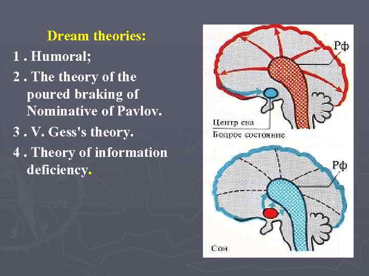 Dream theories: 1. Humoral; 2. The theory of the poured braking of Nominative of