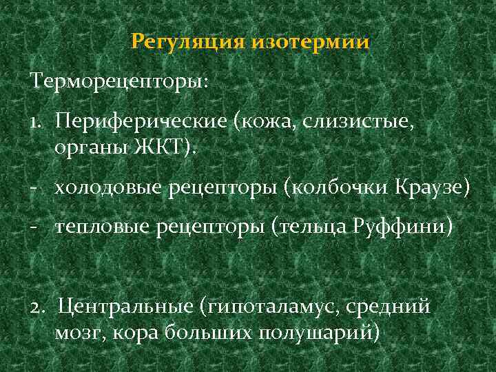 Регуляция изотермии Терморецепторы: 1. Периферические (кожа, слизистые, органы ЖКТ). - холодовые рецепторы (колбочки Краузе)