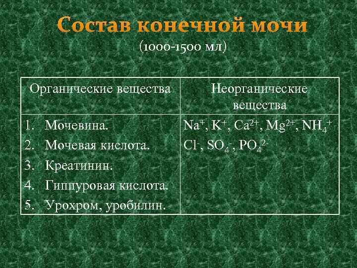 Состав конечной мочи (1000 -1500 мл) Органические вещества 1. 2. 3. 4. 5. Мочевина.