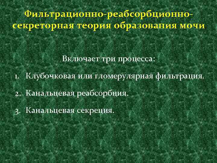 Фильтрационно-реабсорбционносекреторная теория образования мочи Включает три процесса: 1. Клубочковая или гломерулярная фильтрация. 2. Канальцевая