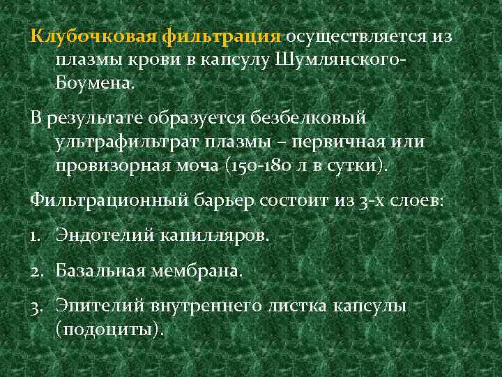 Клубочковая фильтрация осуществляется из плазмы крови в капсулу Шумлянского. Боумена. В результате образуется безбелковый