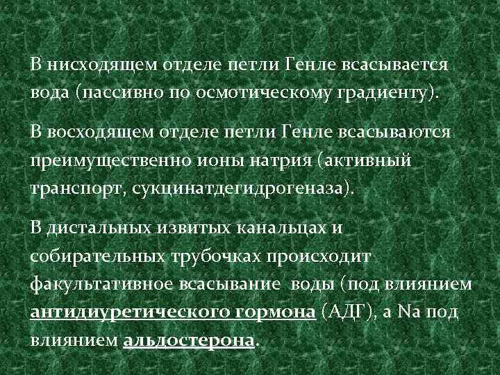 В нисходящем отделе петли Генле всасывается вода (пассивно по осмотическому градиенту). В восходящем отделе