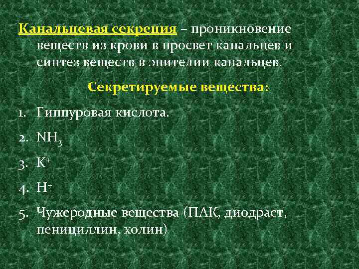 Канальцевая секреция – проникновение веществ из крови в просвет канальцев и синтез веществ в