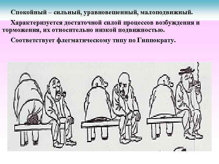Спокойный – сильный, уравновешенный, малоподвижный. Характеризуется достаточной силой процессов возбуждения и торможения, их относительно