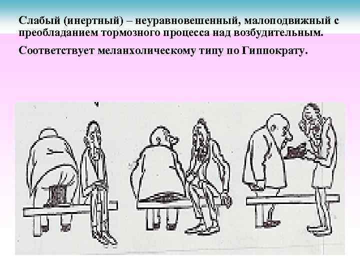 Слабый (инертный) – неуравновешенный, малоподвижный с преобладанием тормозного процесса над возбудительным. Соответствует меланхолическому типу