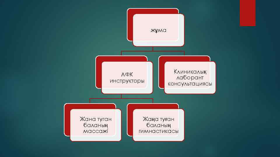 жұма ЛФК инструкторы Жана туган баланың массажі Клиникалық лаборант консультациясы Жаңа туған баланың гимнастикасы