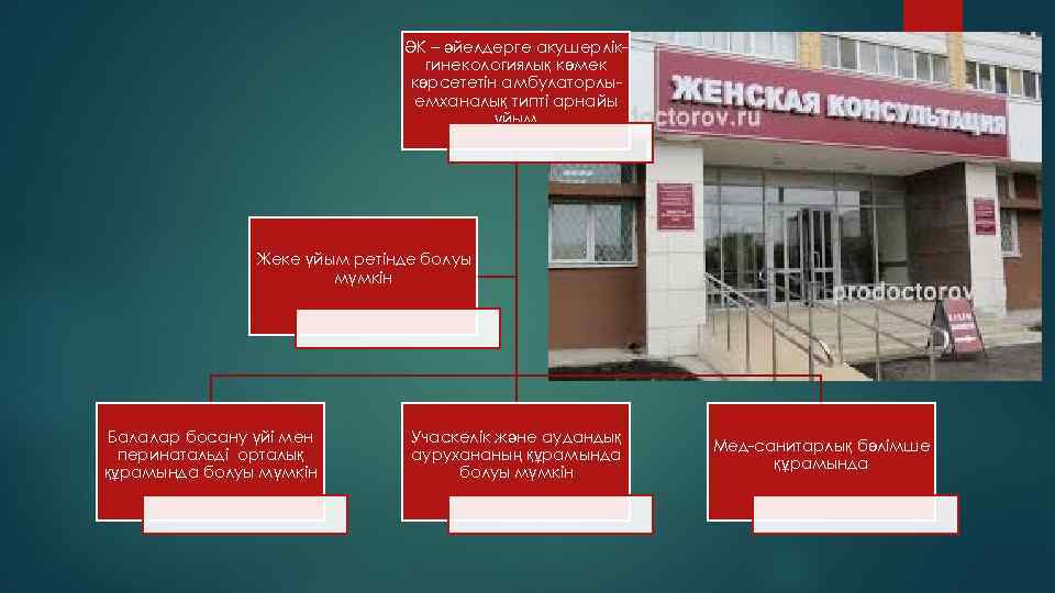 ӘК – әйелдерге акушерлікгинекологиялық көмек көрсететін амбулаторлыемханалық типті арнайы ұйым Жеке үйым ретінде болуы