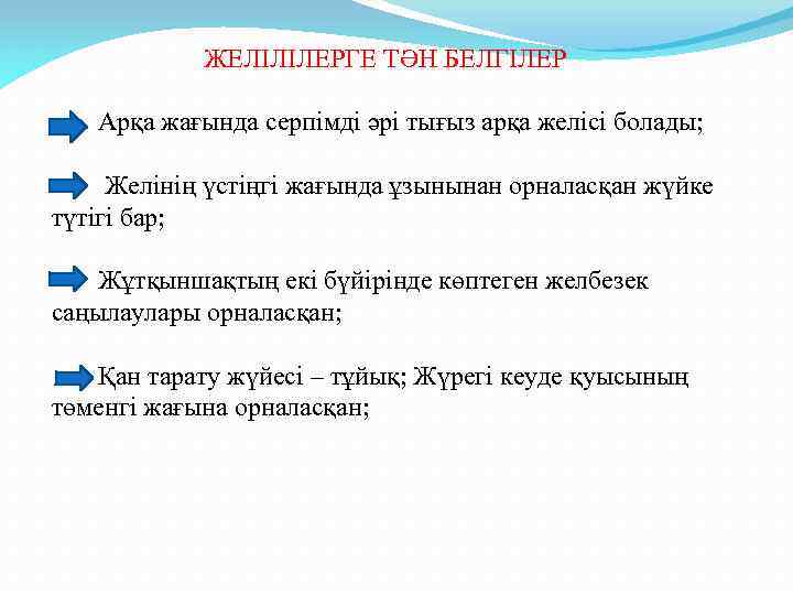  ЖЕЛІЛІЛЕРГЕ ТӘН БЕЛГІЛЕР Арқа жағында серпімді әрі тығыз арқа желісі болады; Желінің үстіңгі