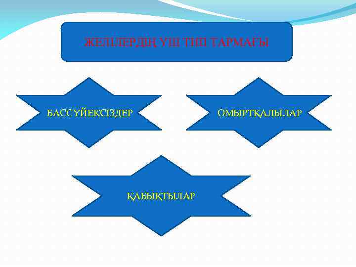 ЖЕЛІЛЕРДІҢ ҮШ ТИП ТАРМАҒЫ БАССҮЙЕКСІЗДЕР ҚАБЫҚТЫЛАР ОМЫРТҚАЛЫЛАР 