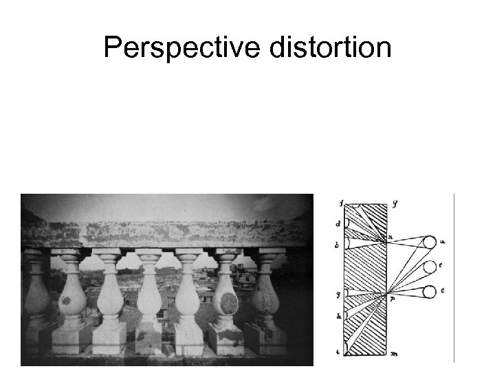 Perspective distortion 