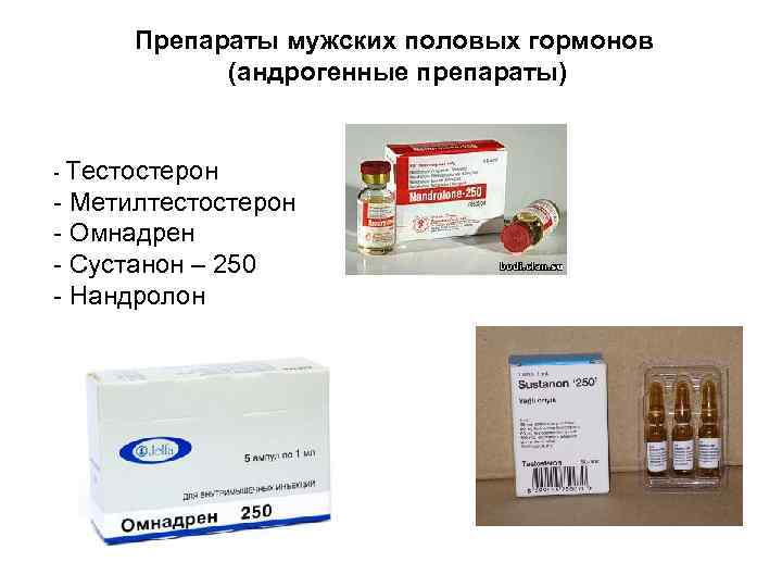 Препараты мужских половых гормонов (андрогенные препараты) - Тестостерон - Метилтестостерон - Омнадрен - Сустанон