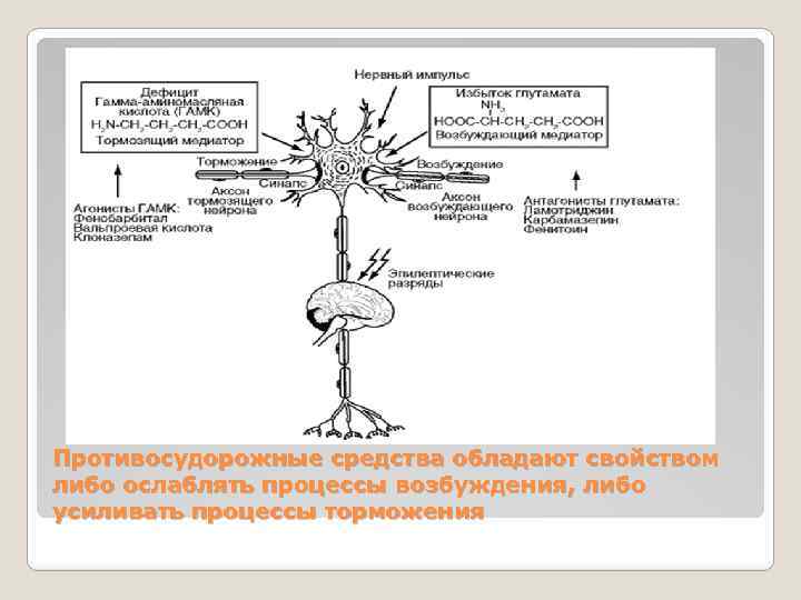 Противосудорожные средства обладают свойством либо ослаблять процессы возбуждения, либо усиливать процессы торможения 
