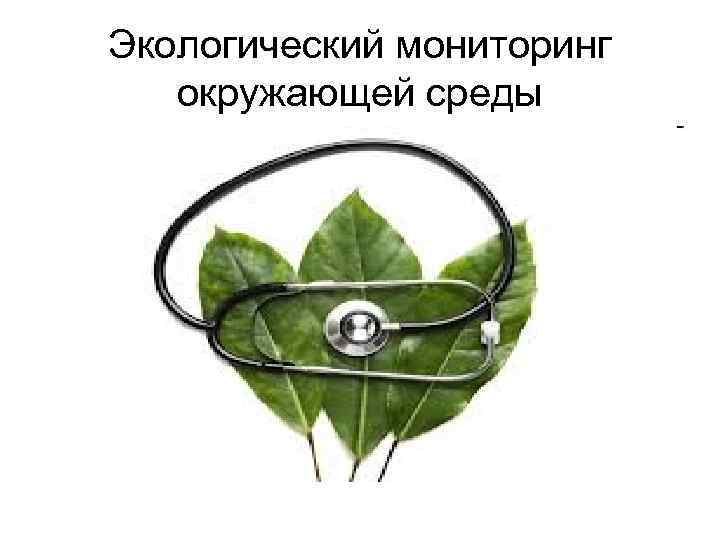 Экологический мониторинг окружающей среды 