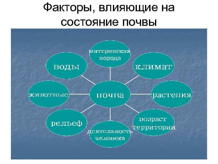 Факторы, влияющие на состояние почвы 