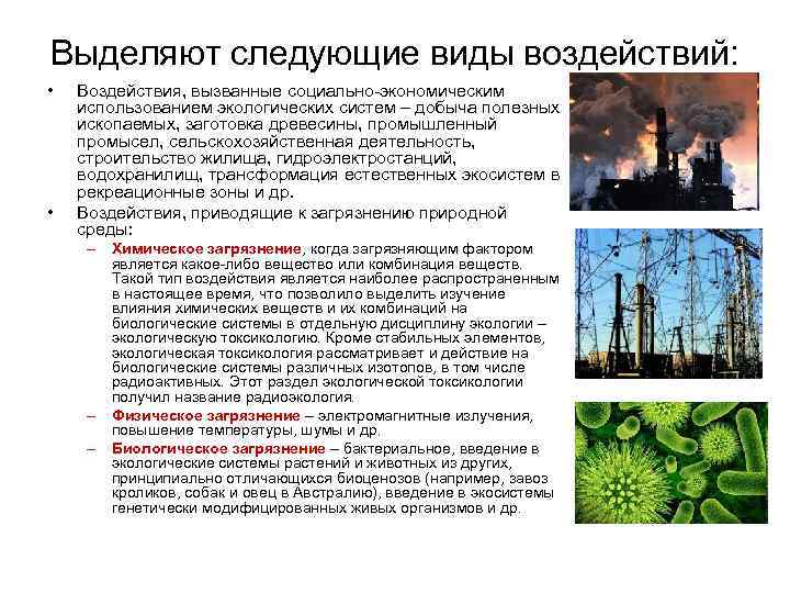 Выделяют следующие виды воздействий: • • Воздействия, вызванные социально-экономическим использованием экологических систем – добыча