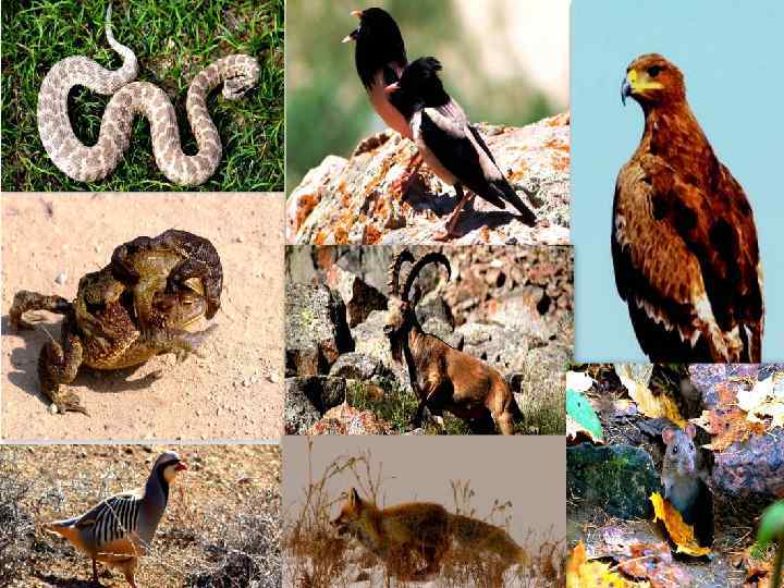 География Астрономия Менеджмент Метеорология Есеп және аудит Геодезия және картография Қаржы Мемлекеттік және жергілікті