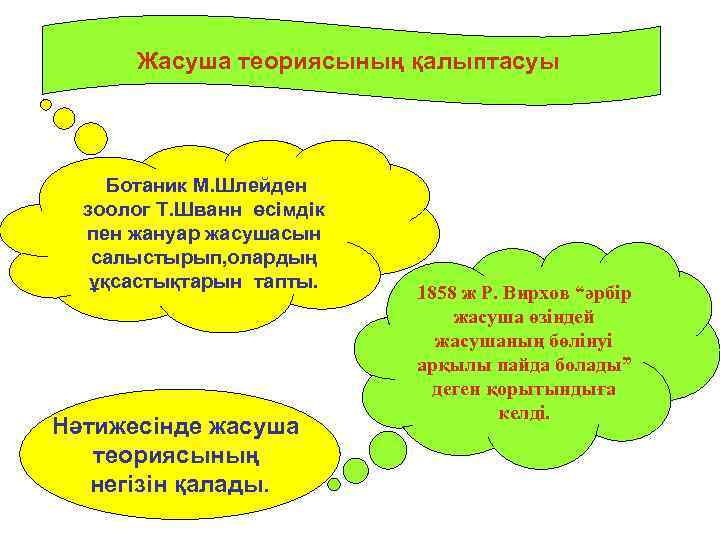 Жасуша теориясының қалыптасуы Ботаник М. Шлейден зоолог Т. Шванн өсімдік пен жануар жасушасын салыстырып,