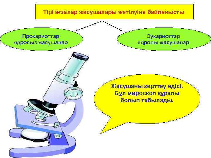Тірі ағзалар жасушалары жетілуіне байланысты Прокариоттар ядросыз жасушалар Эукариоттар ядролы жасушалар Жасушаны зерттеу әдісі.