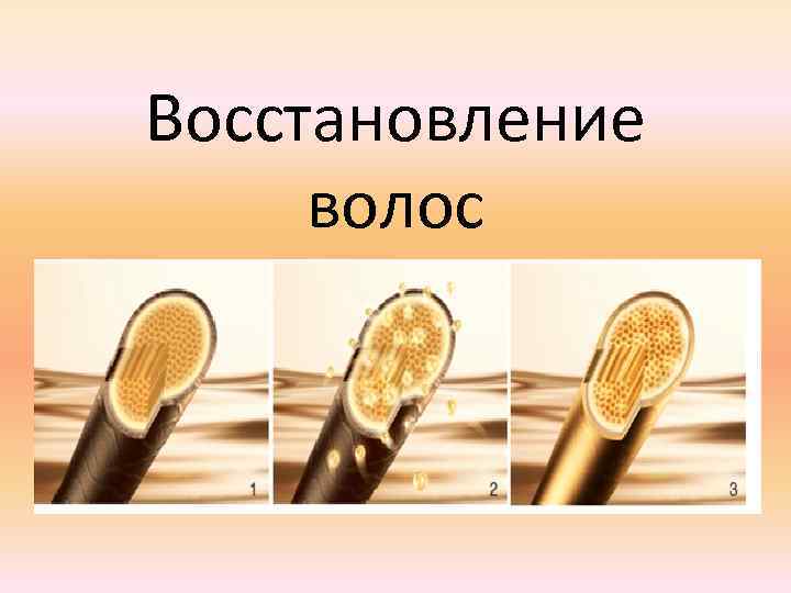 Восстановление волос 