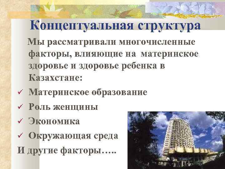Концептуальная структура Мы рассматривали многочисленные факторы, влияющие на материнское здоровье и здоровье ребенка в