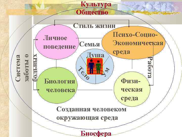 Ум Биология человека Физическая среда Созданная человеком окружающая среда Биосфера Работа Стиль жизни Психо-Социо.