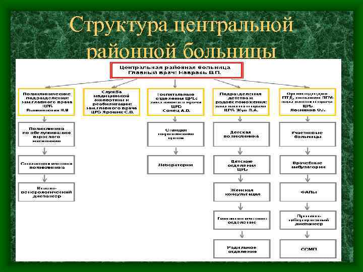 Структура центральной районной больницы 