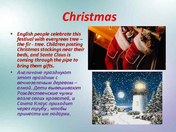 Christmas • English people celebrate this festival with evergreen tree – the fir -