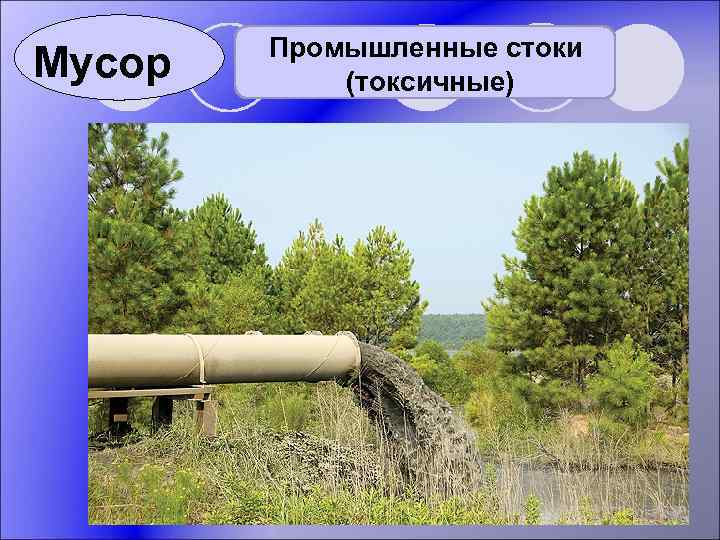 Мусор Промышленные стоки (токсичные) 