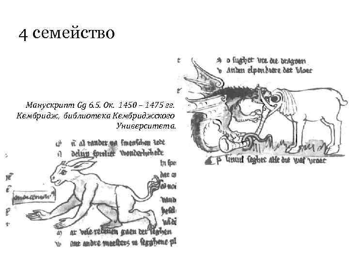 4 семейство Манускрипт Gg 6. 5. Ок. 1450 – 1475 гг. Кембридж, библиотека Кембриджского