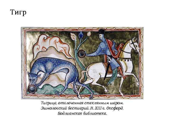 Тигрица, отвлеченная стеклянным шаром. Эшмоловский бестиарий. Н. XIII в. Оксфорд, Бодлианская библиотека. 