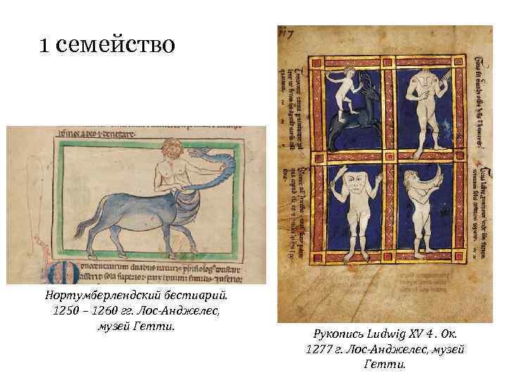 1 семейство Нортумберлендский бестиарий. 1250 – 1260 гг. Лос-Анджелес, музей Гетти. Рукопись Ludwig XV