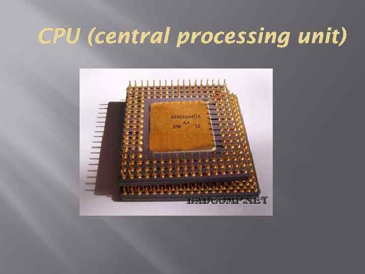 CPU (central processing unit) 