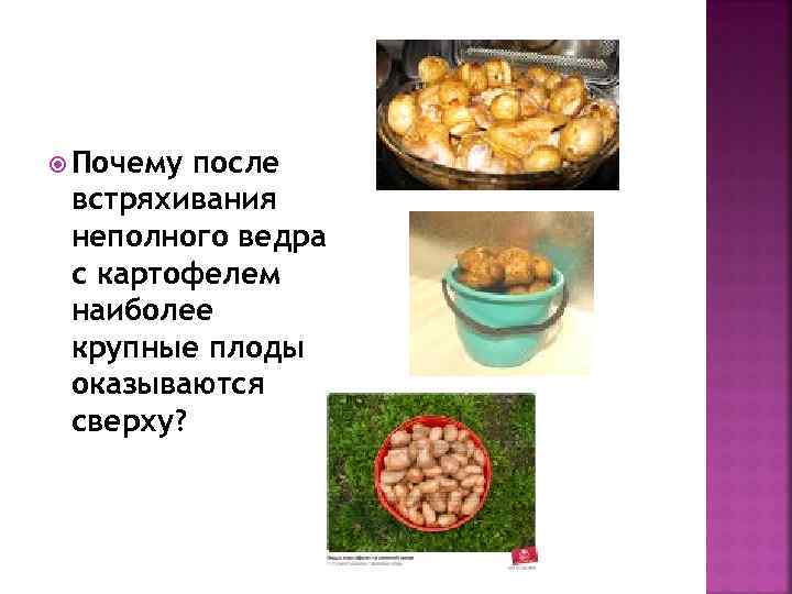  Почему после встряхивания неполного ведра с картофелем наиболее крупные плоды оказываются сверху? 