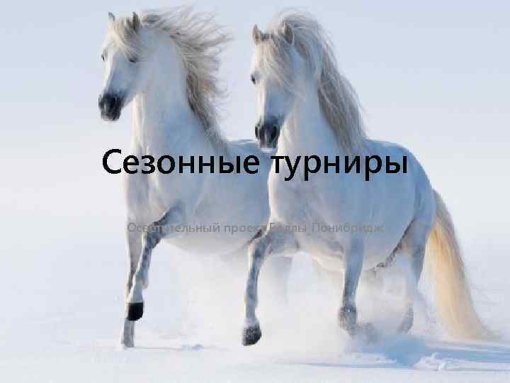 Сезонные турниры Осветительный проект Беллы Понибридж 