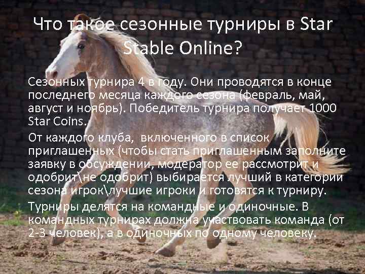 Что такое сезонные турниры в Star Stable Online? Сезонных турнира 4 в году. Они