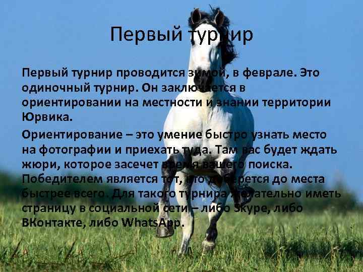 Первый турнир проводится зимой, в феврале. Это одиночный турнир. Он заключается в ориентировании на