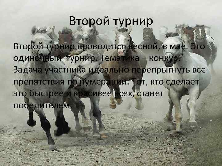Второй турнир проводится весной, в мае. Это одиночный турнир. Тематика – конкур. Задача участника