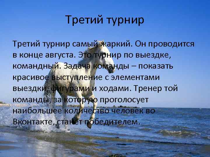 Третий турнир самый жаркий. Он проводится в конце августа. Это турнир по выездке, командный.
