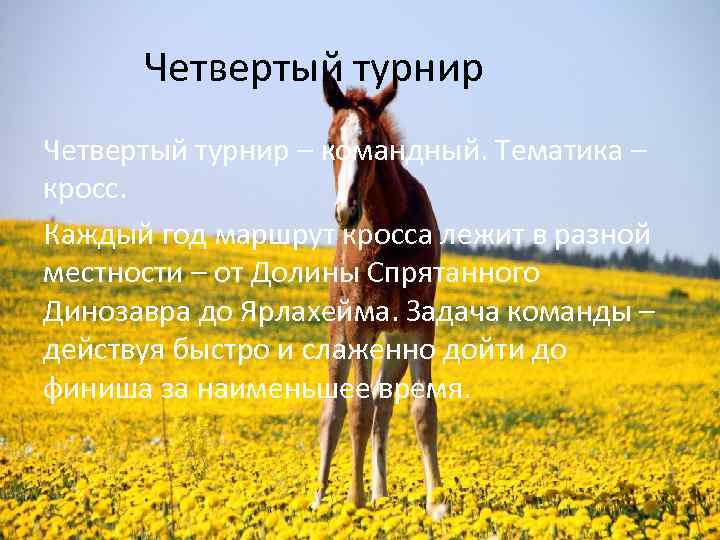 Четвертый турнир – командный. Тематика – кросс. Каждый год маршрут кросса лежит в разной