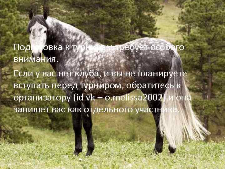 Подготовка к турнирам требует особого внимания. Если у вас нет клуба, и вы не