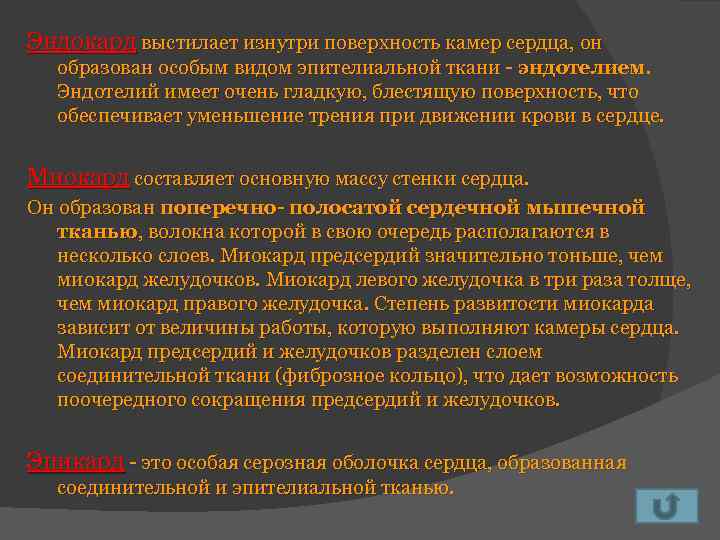 Эндокард выстилает изнутри поверхность камер сердца, он образован особым видом эпителиальной ткани - эндотелием.