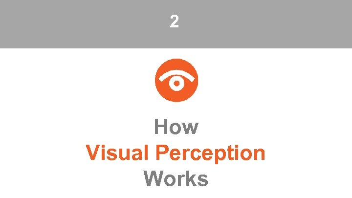 2 How Visual Perception Works 