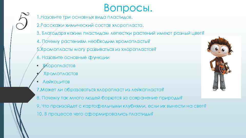 Вопросы. 1. Назовите три основных вида пластидов. 2. Расскажи химический состав хлоропласта. 3. Благодаря