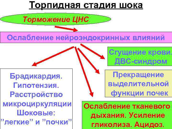 Торпидная стадия шока Торможение ЦНС Ослабление нейроэндокринных влияний Сгущение крови. ДВС-синдром Брадикардия. Гипотензия. Расстройство