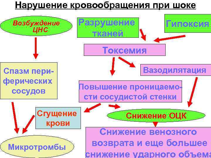 Нарушение кровообращения при шоке Возбуждение ЦНС Разрушение тканей Гипоксия Токсемия Спазм периферических сосудов Сгущение