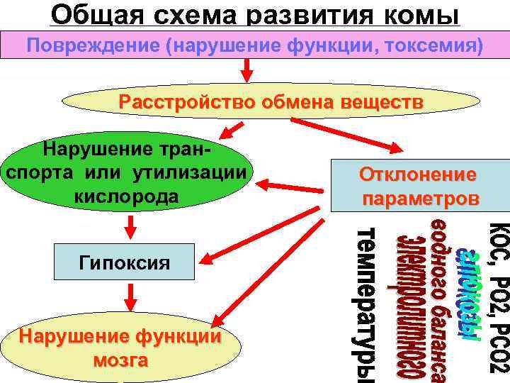 Общая схема фонематического развития н х швачкин