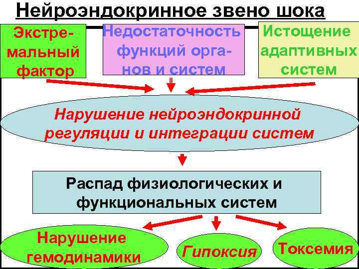 Нейроэндокринное звено шока Экстремальный фактор Недостаточность функций органов и систем Истощение адаптивных систем Нарушение