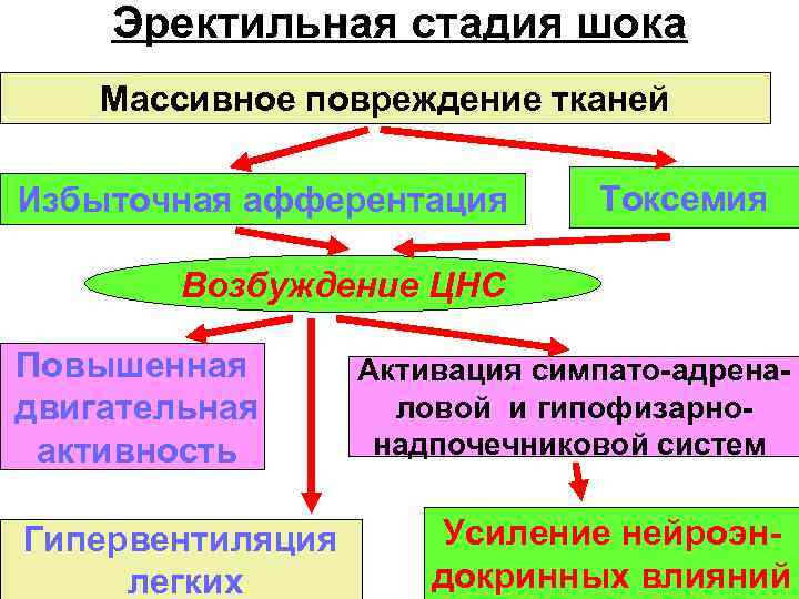 Эректильная стадия шока Массивное повреждение тканей Избыточная афферентация Токсемия Возбуждение ЦНС Повышенная двигательная активность